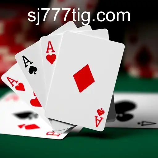 Gaming Experience SJ777 - 800+ Premium and Exclusive Games